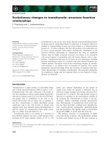 Báo cáo khoa học: Evolutionary changes to transthyretin: structure–function relationships ppt