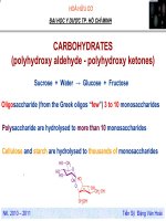 HOÁ HỮU CƠ ĐẠI HỌC Y DƯỢC TP. HỒ CHÍ MINHCARBOHYDRATES (polyhydroxy aldehyde - polyhydroxy ketones)Sucrose + Water → Glucose + Fructose Oligosaccharide (from the Greek oligos “few”) 3 to 10 monosaccharides Polysaccharide are hydrolysed to more than 10 pot
