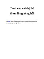 Canh rau cải thịt bò thơm lừng nóng hổi pot