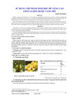 Sử dụng chế phẩm sinh học để nâng cao chất lượng rượu vang Mít ppt