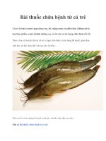 Bài thuốc chữa bệnh từ cá trê pdf