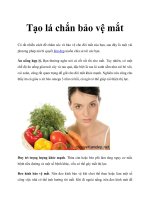 Tạo lá chắn bảo vệ mắt docx