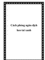 Cách phòng ngừa dịch heo tai xanh docx