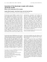 Báo cáo Y học:Association of the thyrotropin receptor with calnexin, calreticulin and BiP Effects on the maturation of the receptor docx