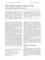 Báo cáo khoa học: Action of palytoxin on apical H+/K+-ATPase in rat colon pdf