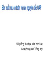 Sản xuất rau an toàn và các nguyên tắc GAP - Bài giảng cho học viên cao học Chuyên ngành Trồng trọt pptx