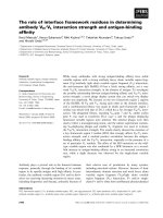 Báo cáo khoa học: The role of interface framework residues in determining antibody VH ⁄ VL interaction strength and antigen-binding afﬁnity pptx