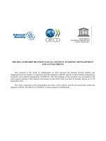 THE RELATIONSHIP BETWEEN LOCAL CONTENT, INTERNET DEVELOPMENT AND ACCESS PRICES potx