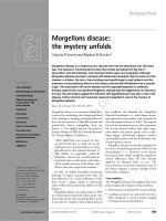 MORGELLONS DISEASE: THE MYSTERY UNFOLDS ppt