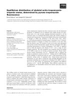 Báo cáo khoa học: Equilibrium distribution of skeletal actin–tropomyosin– troponin states, determined by pyrene–tropomyosin ﬂuorescence potx