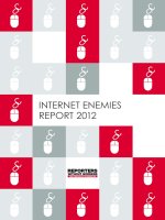 INTERNET ENEMIES REPORT 2012 pot