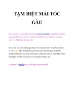 TẠM BIỆT MÁI TÓC GÀU doc