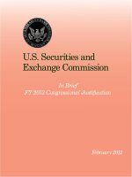 U.S. Securities and Exchange Commission In Brief FY 2013 Congressional Justification pptx
