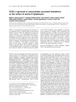 Báo cáo khóa học: CD38 is expressed as noncovalently associated homodimers on the surface of murine B lymphocytes doc