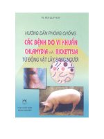 Hướng dẫn phòng chống các bệnh do vi khuẩn chlamydia từ động vật lây sang người ppt