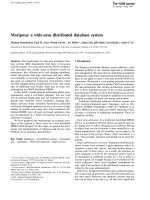 Mariposa: a wide-area distributed database system doc