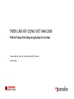 Thiết kế Tường Chắn bằng các giải pháp Cừ ván thép pptx