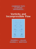 Vorticity and incompressible flow   majda, bertozzi