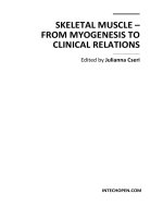 Skeletal Muscle – From Myogenesis to Clinical Relations pdf