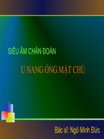 U nang ống mật chủ pdf