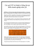 Các quỹ ETF trở thành cổ đông lớn tại nhiều doanh nghiệp niêm yết potx