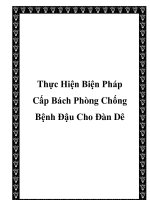 Thực Hiện Biện Pháp Cấp Bách Phòng Chống Bệnh Đậu Cho Đàn Dê potx