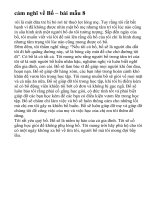 cảm nghĩ về Bố – bài mẫu 8