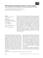 Báo cáo khoa học: GTP binding and hydrolysis kinetics of human septin 2 pot
