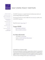 Focus on the U.S. Gulf States pdf