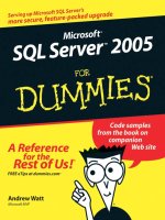 microsoft sql server 2005 for dummies (2006)