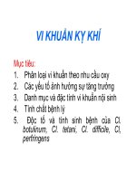 VI KHUẨN KỴ KHÍ ppt