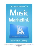 An introduction to music marketing by shaun letang