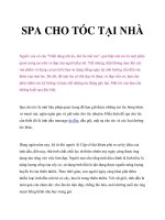 SPA CHO TÓC TẠI NHÀ pptx