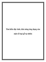 Tìm hiểu đặc tính, khả năng ứng dụng của một số loại gỗ tự nhiên pot