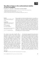 Báo cáo khoa học: The effect of heme on the conformational stability of micro-myoglobin doc