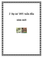 2 ''''dự án'''' DIY tuần đầu năm mới pdf