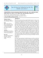 ẢNH HƯỞNG CỦA BA LOẠI BAO TRÁI LÊN MÀU SẮC VỎ VÀ PHẨM CHẤT TRÁI XOÀI CÁT C U VÀ CÁT HÒA LỘC (MANGIFERA INDICA L.) docx