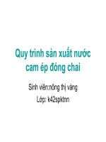 Quy trình sản xuất nước cam ép đóng chai docx