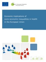Economic implications of socio-economic inequalities in health in the European Union docx