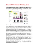 Kinh doanh trên Facebook: Vừa mừng, vừa lo doc