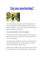 Tại sao marketing?Tại sao doanh nghiệp cần marketing? ppt