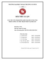 TIỂU LUẬN: CÁC YẾU TỐ ẢNH HƯỞNG ĐẾN NGUỒN CUNG ỨNG NHÂN CÔNG CÓ THU NHẬP THẤP TẠI HOA KỲ ppt