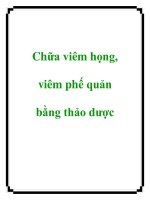 Chữa viêm họng, viêm phế quản bằng thảo dược pdf