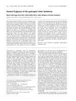 Báo cáo khoa học: Neutral N-glycans of the gastropod Arion lusitanicus potx