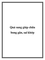 Quả sung giúp chữa bong gân, sai khớp pdf