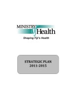 STRATEGIC PLAN 2011‐2015 potx