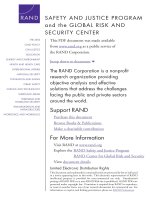 SAFETY AND JUSTICE PROGRAM and the GLOBAL RISK AND SECURITY CENTER docx