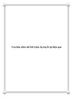 Con hàu chữa mồ hôi trộm, hạ huyết áp hiệu quả pdf