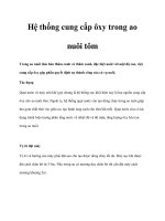 Hệ thống cung cấp ôxy trong ao nuôi tôm pot