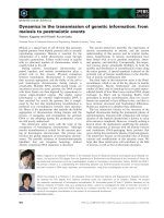 Báo cáo khoa học: Dynamics in the transmission of genetic information: from meiosis to postmeiotic events doc